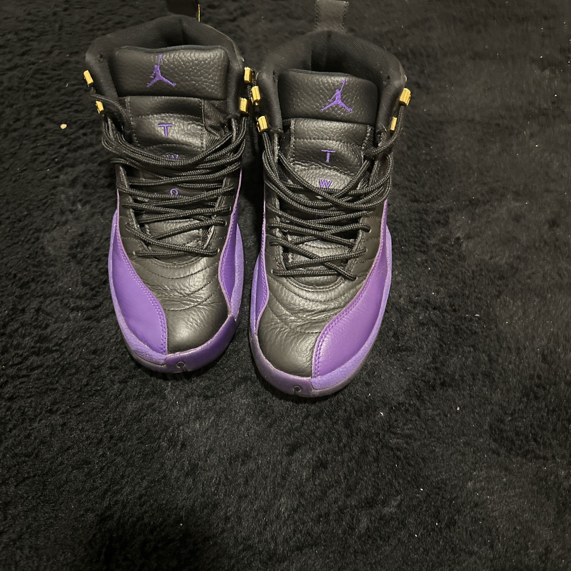 Jordan 12s Filed Purple 