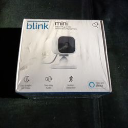 Blink Mini 