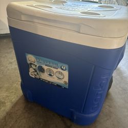 ice chest 