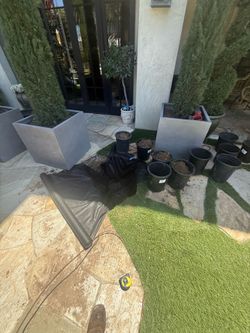 Planter boxes
