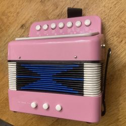 Kids Accordion Toy Working 