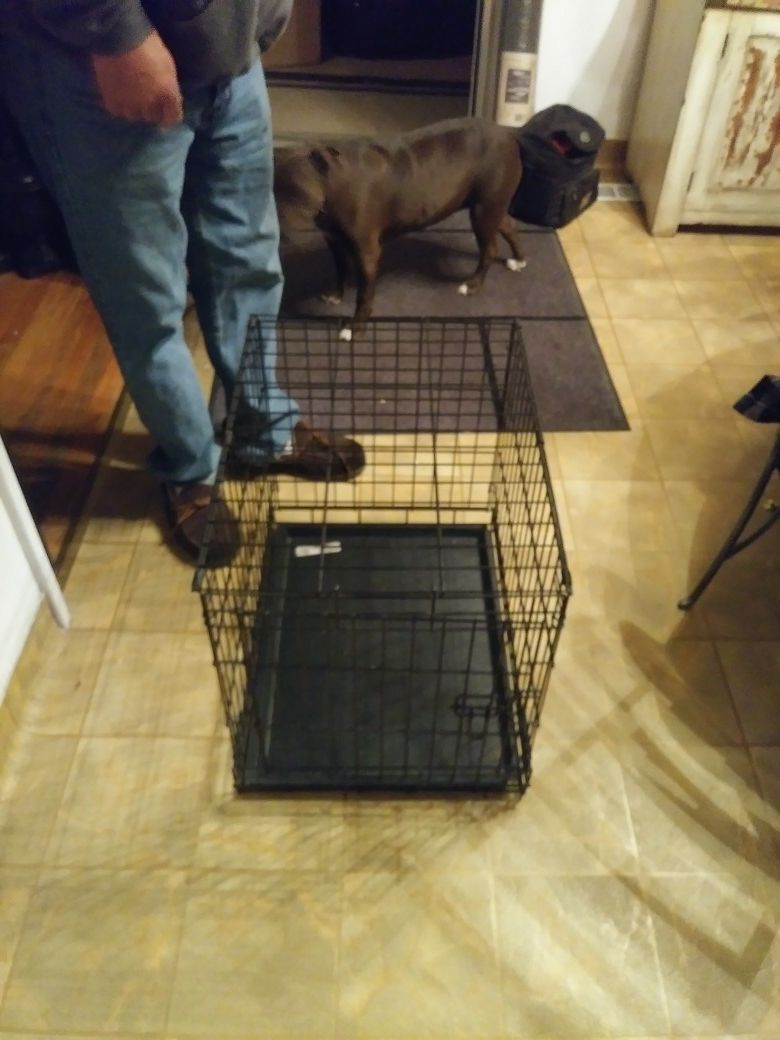 Doggie Training crate