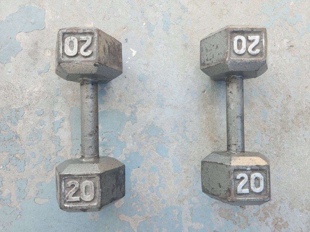 20 Pound Dumbbells 