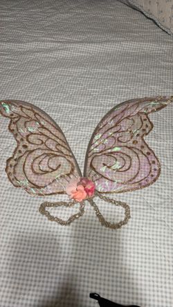 Butterfly wings