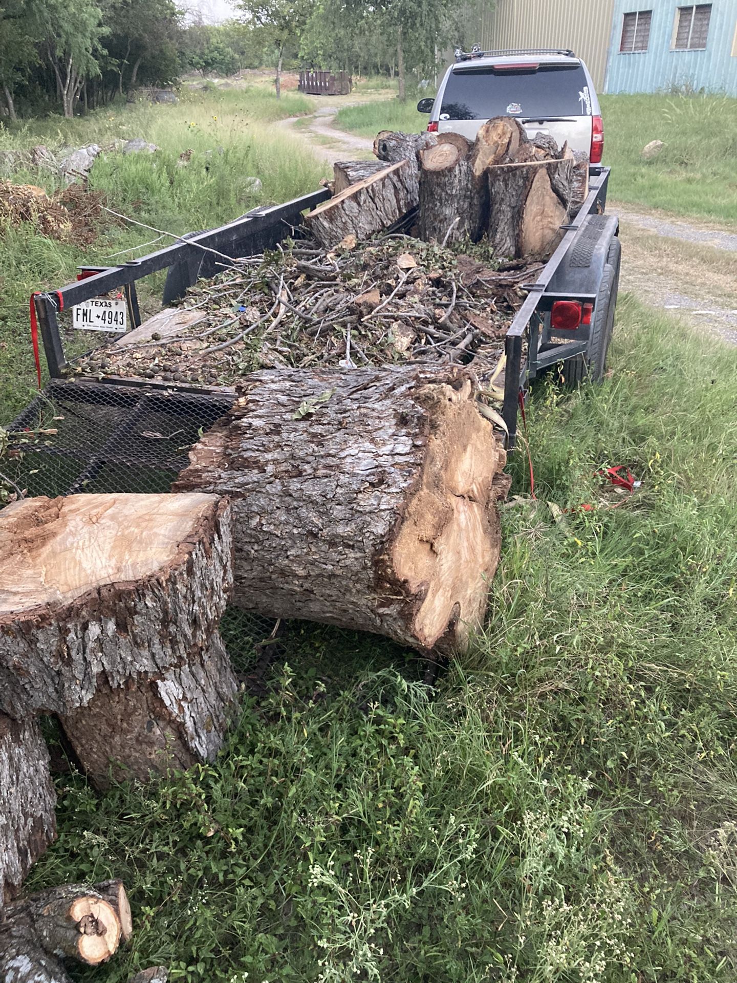 Firewood Bulverde Rd 1604 Area