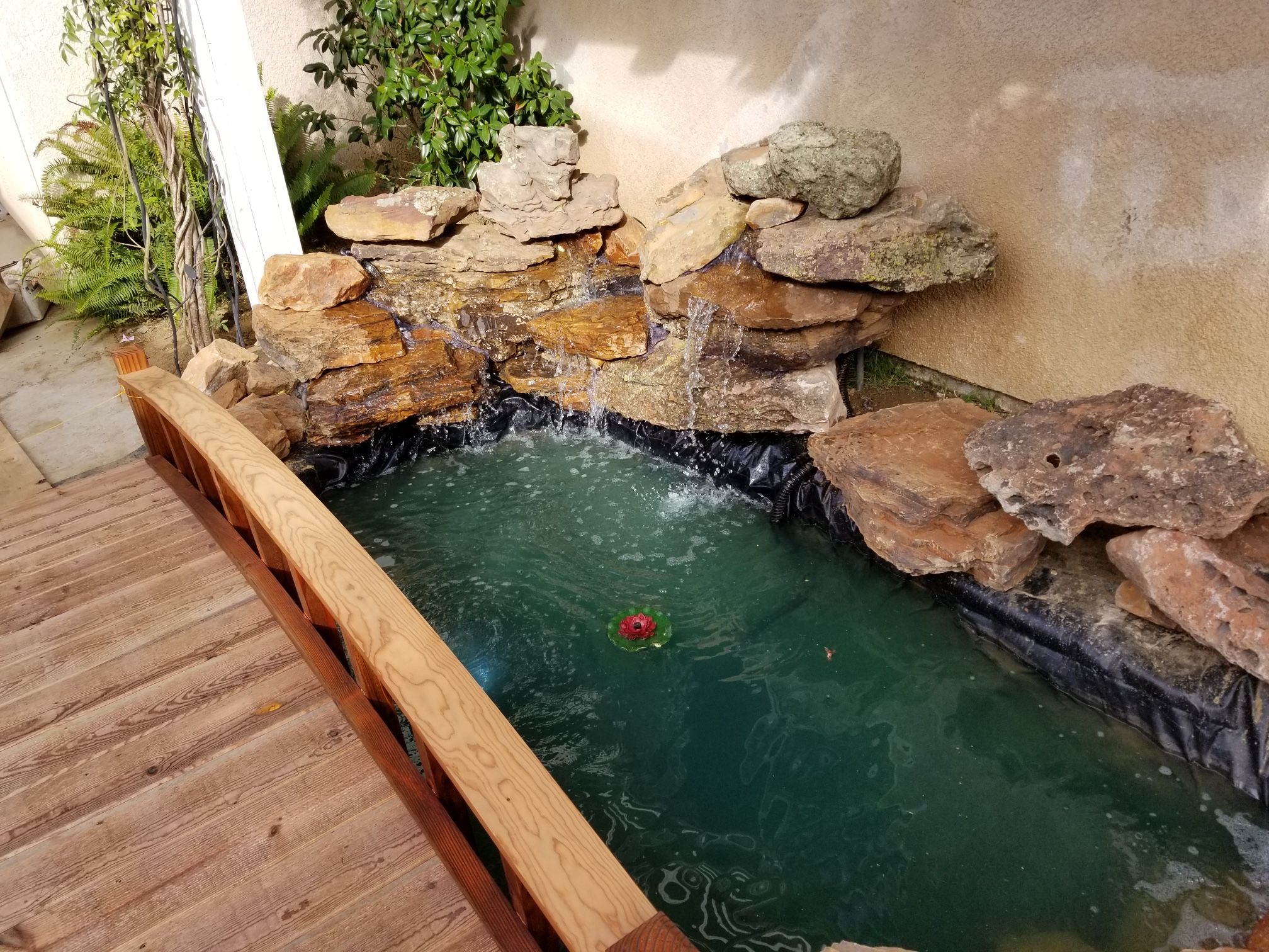 Water Gardens Pond Less Waterfalls Fountains Ecosystem Ponds Koi Ponds