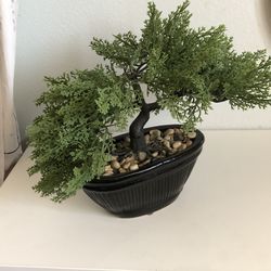 Faux Bonsai Tree - Plastic Decorative Tree
