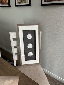 Sand Dollar Art