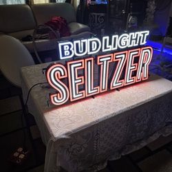 Budligh Seltzer Changing Color Neon Light