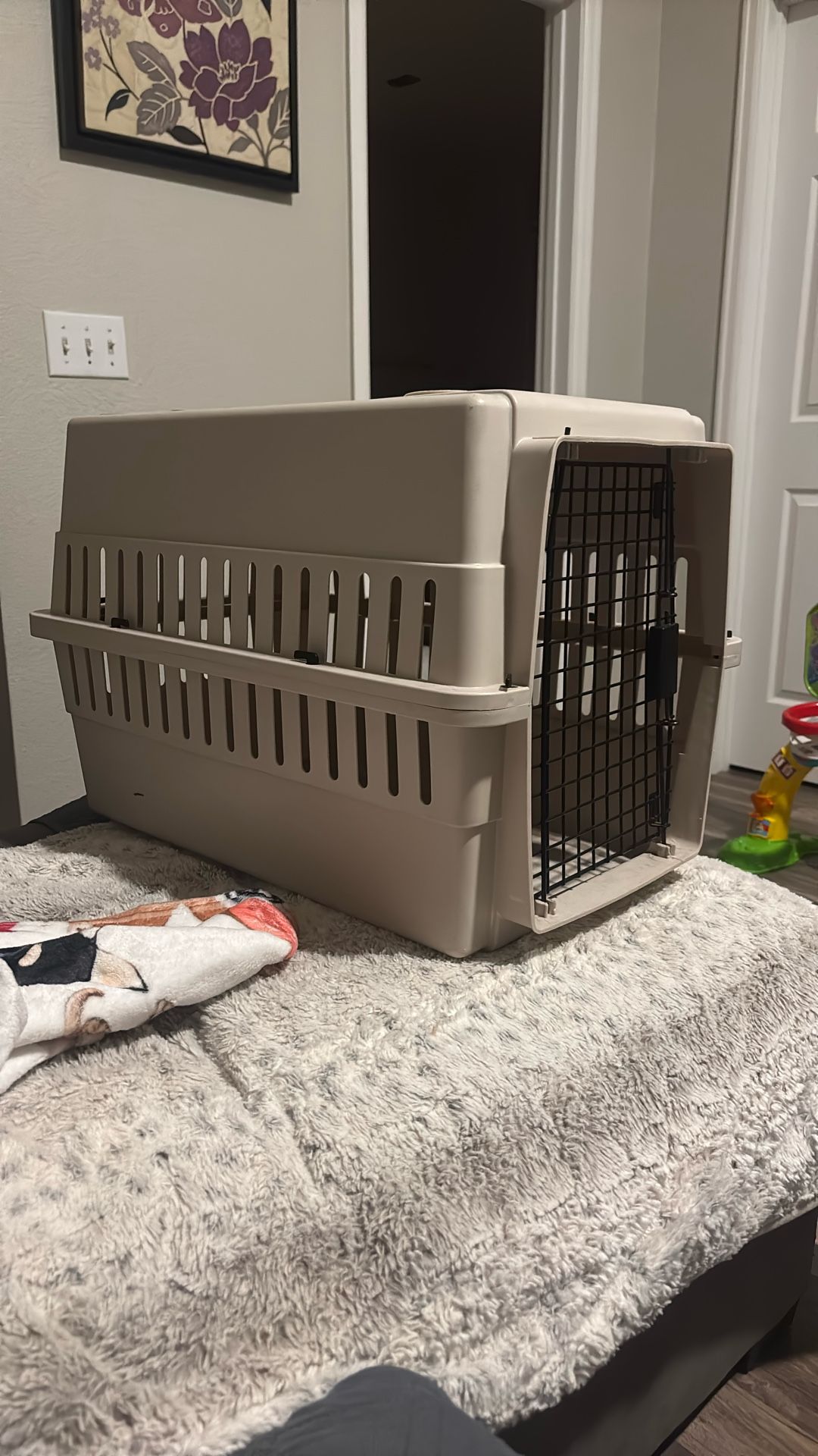 Dog Or Cat Crate 
