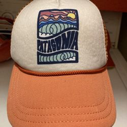 Patagonia Cap ( Unisex )