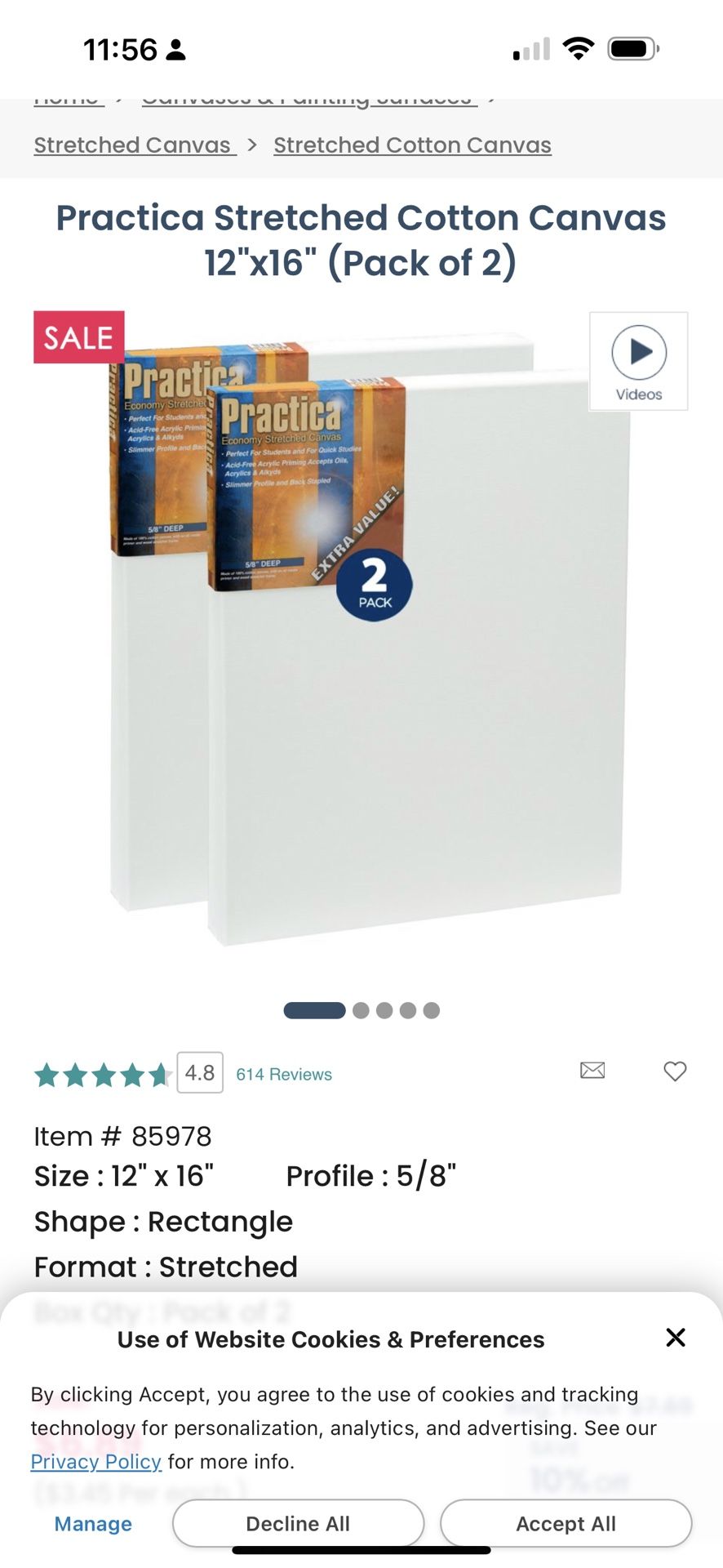 Practica Stretched Cotton Canvas 12 X 16 NEW 16 Available