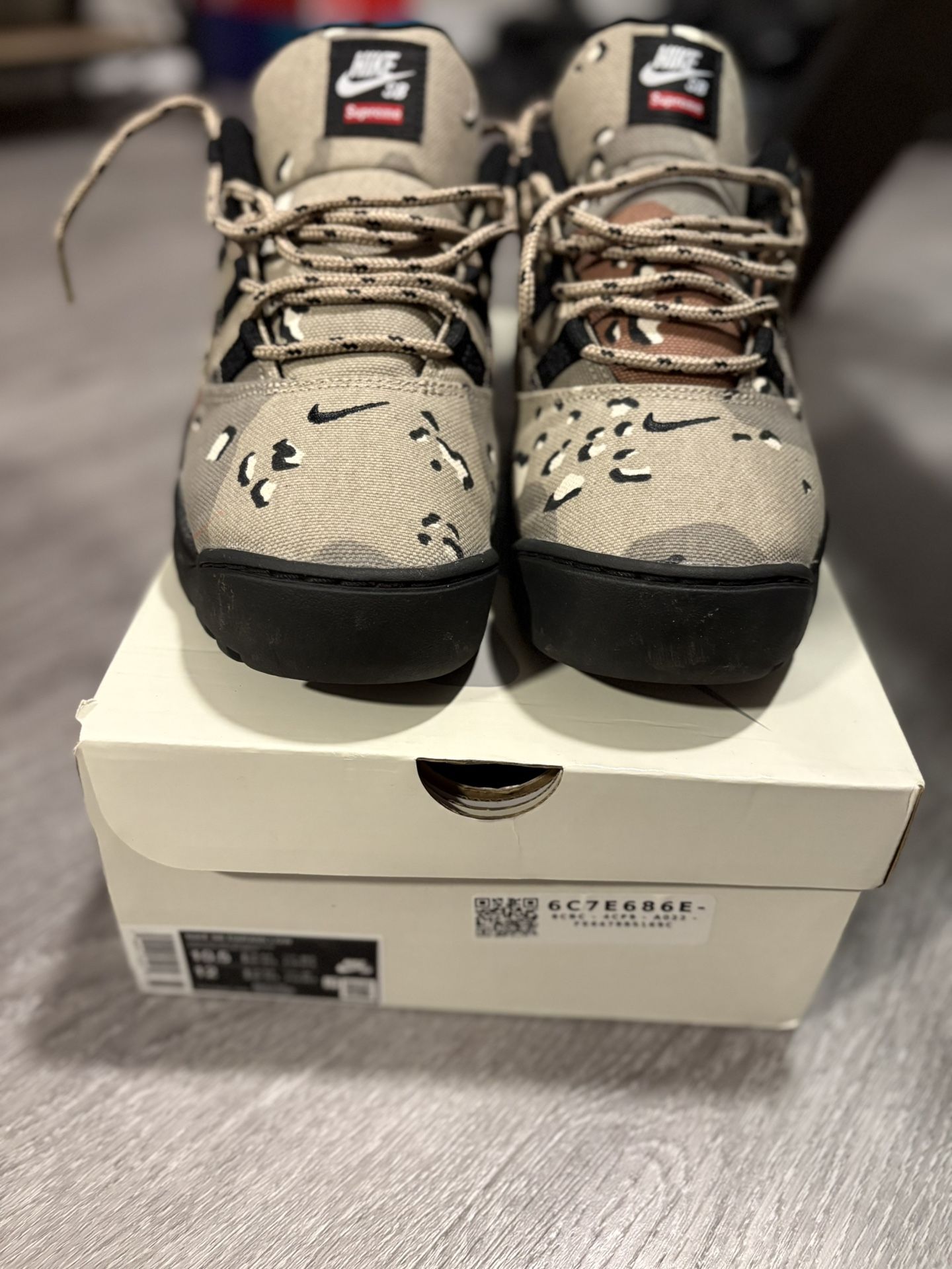 Nike SB Darwin Low