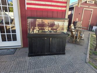 75 gallon fish tank