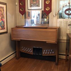 Organ 