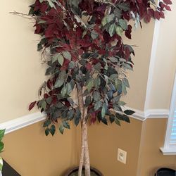  Plant Artificial Ficus