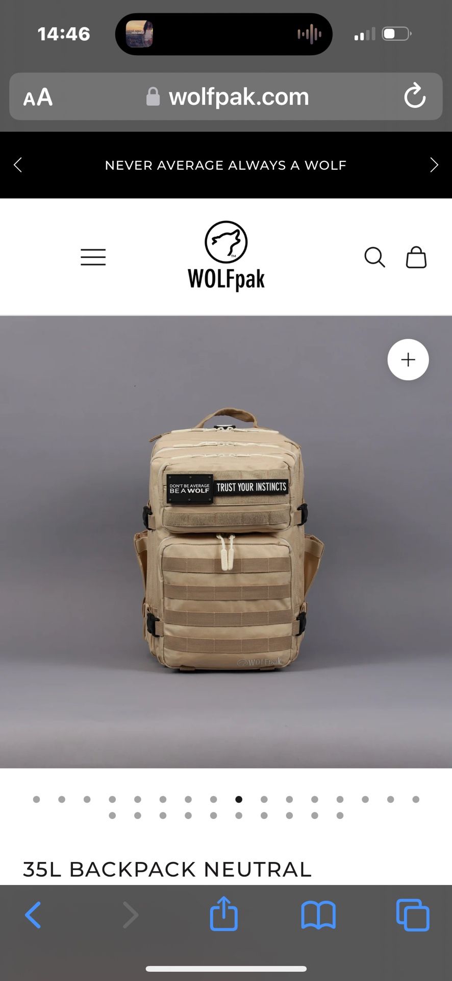 WOLFPAK 35L Backpack In neutral 