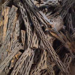 3+ Lbs Cholla Wood Pieces | Aquarium | Terrarium | Shrimp | Hermit Crabs | Habitat | Decor | Crafts