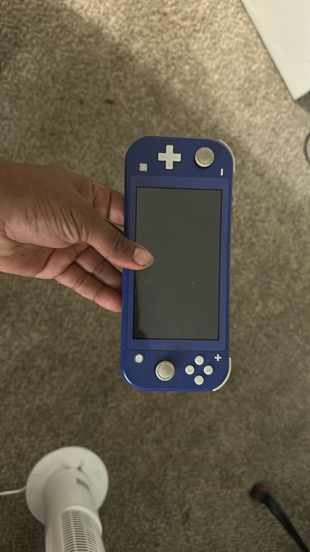 Switch Lite
