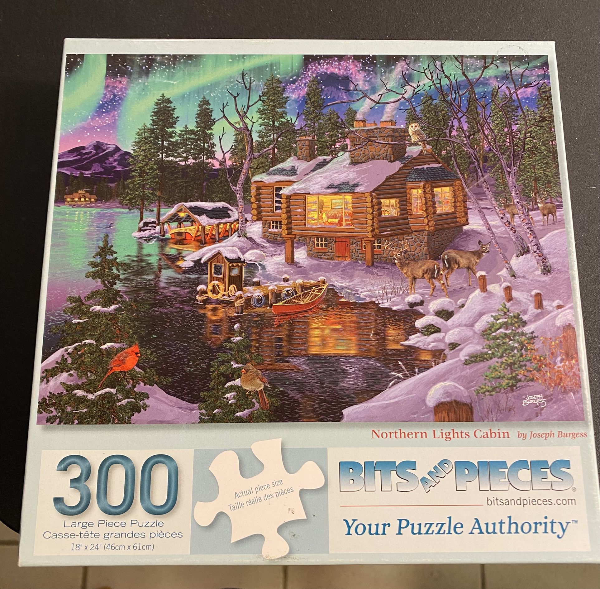 $3 Puzzle Complete 300 Larger Pieces