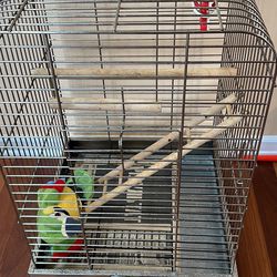 Bird Parrot Cage Thumbnail