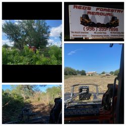 We do land clearing work and also remove trees from the roots... and also mulching. 
