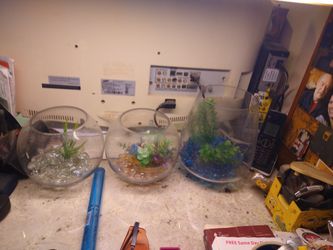 Decorative Fish Tanks For Small Fish Or Terrariums