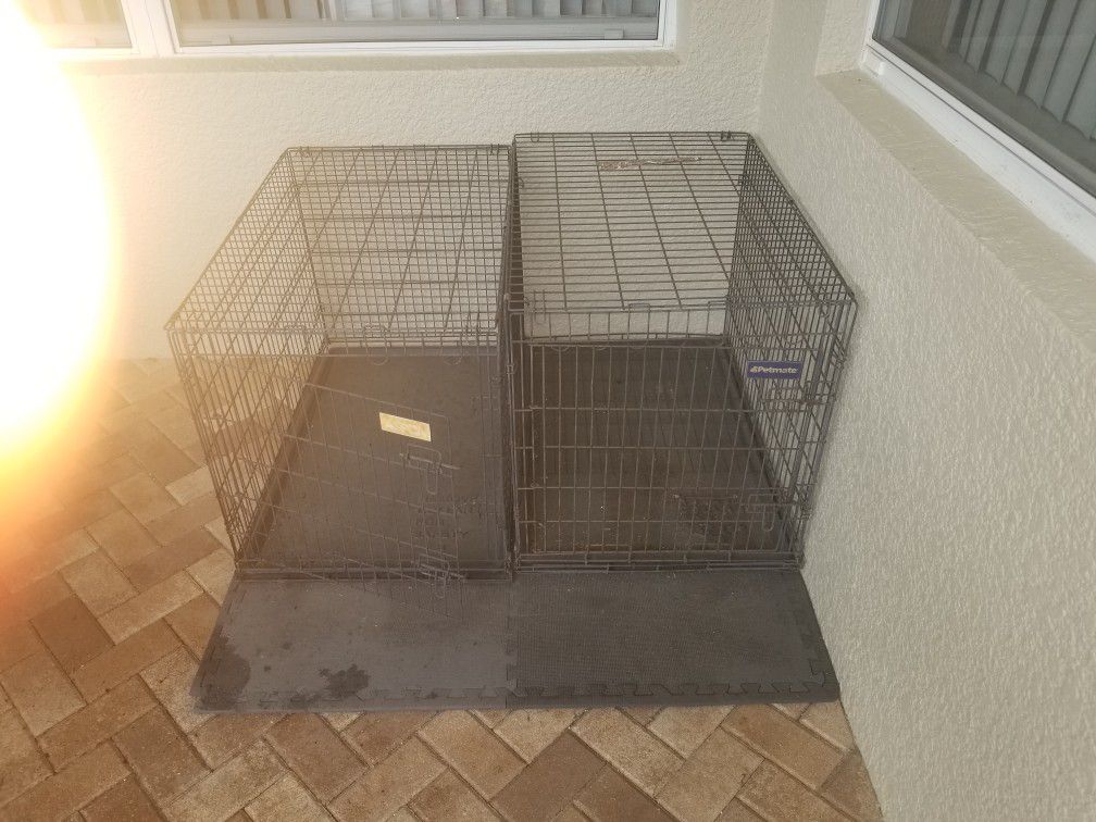 2 medium dog crates