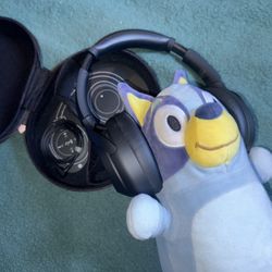 Sony Wireless Headphones (1000XM4)