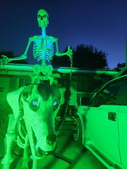 Halloween 12 ft Skelly for sale