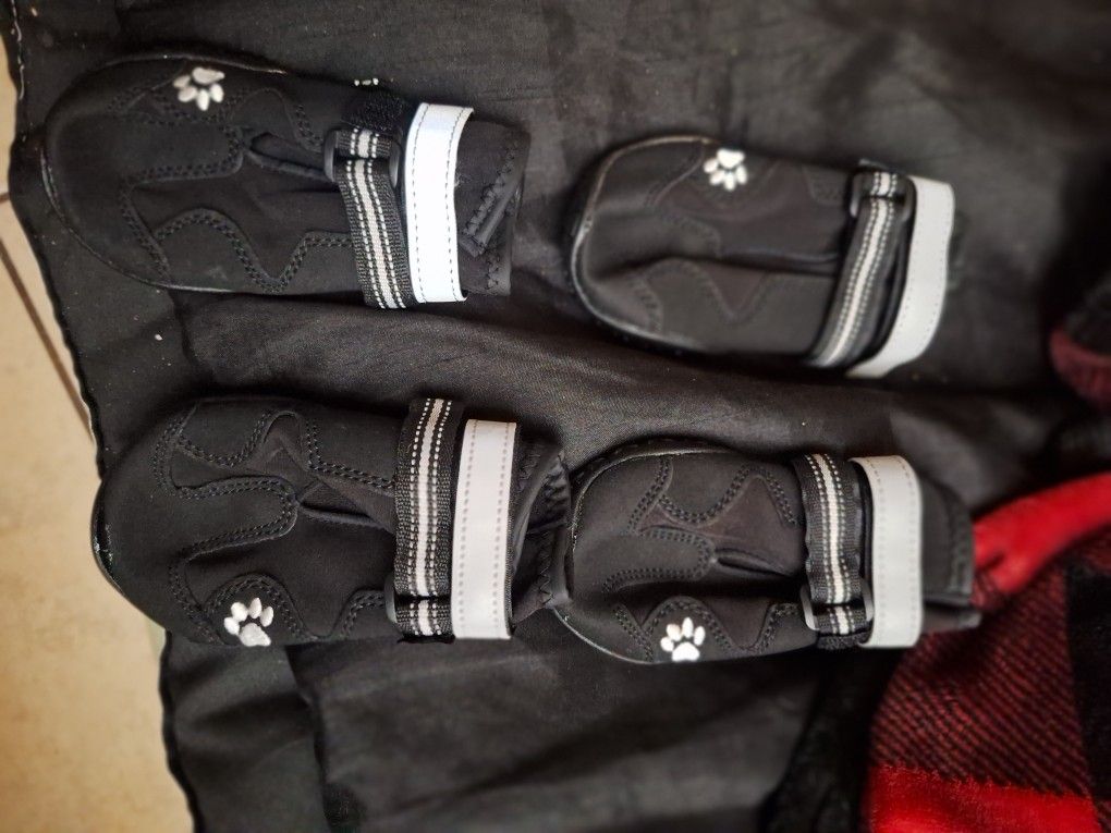 DOG SHOES