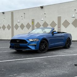 2019 Ford Mustang Rent