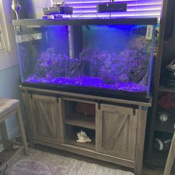 90 Gallon Reef  Fish Tank With Stand And Extras