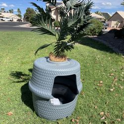 “Hidden” Litter Box 