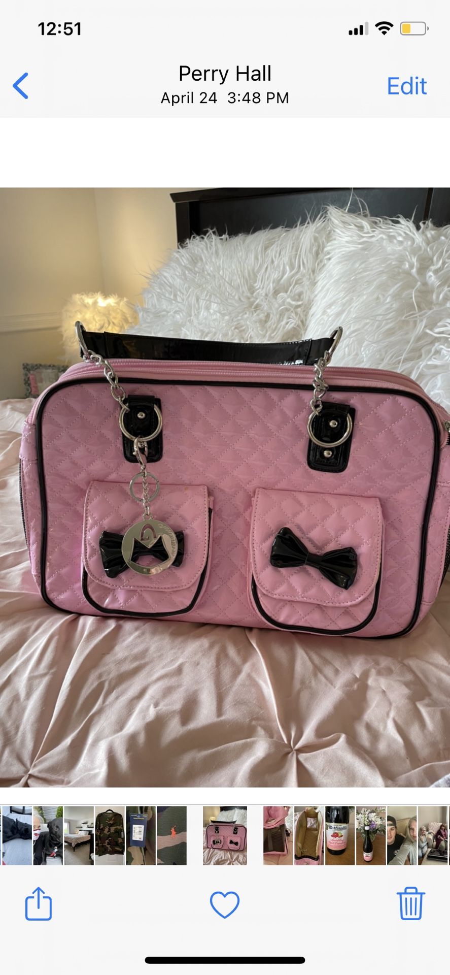Pet Carrier