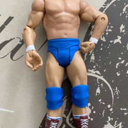 WWE Wrestler