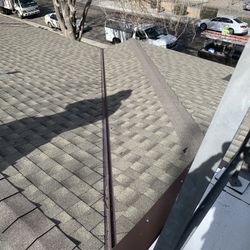 Shingle Roof