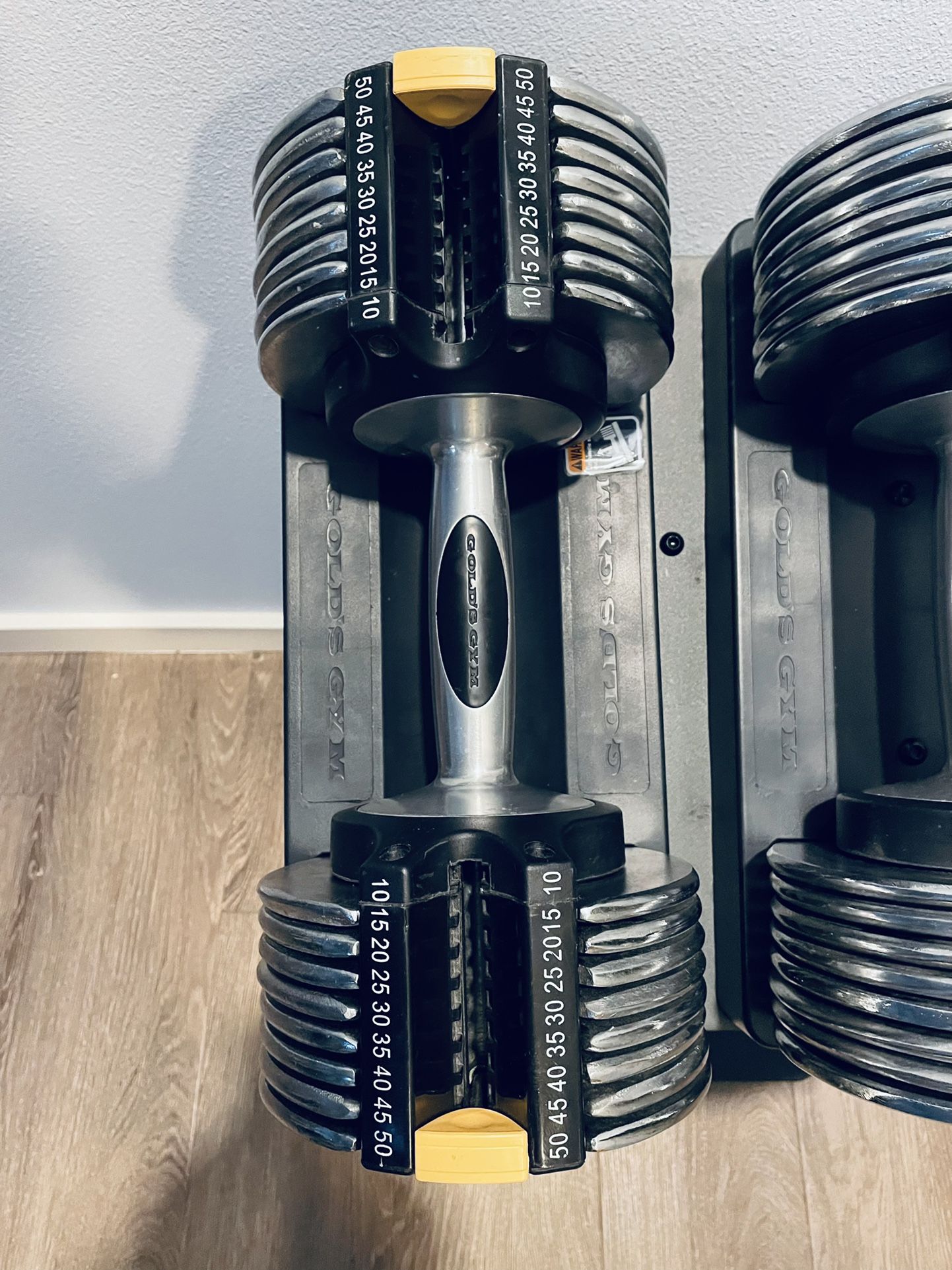 2 Gold s Gym Adjustable Dumbbells 10 50 Pounds Comes With Stand 300 for Sale in Maple Valley WA OfferUp