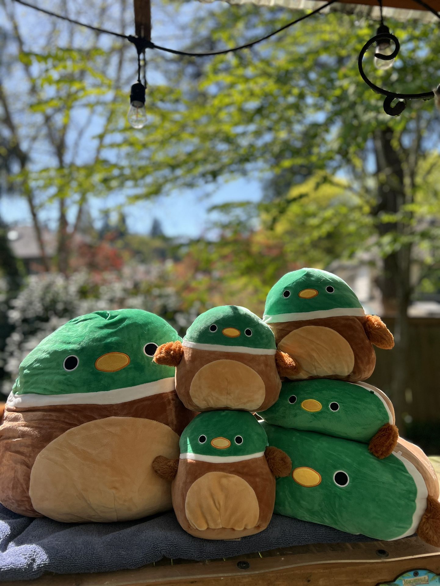 Squishmallow Duck Bundle