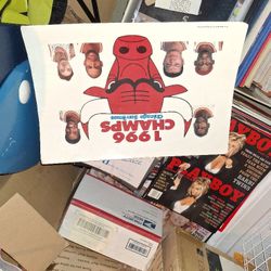 Bulls Championship Poster 