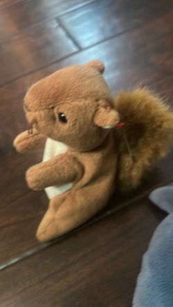 the squirrel, an echo, the dolphin