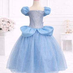 Cinderella Dress