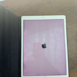 iPad Pro 12.9 Inch 256GB WiFi+Cellular