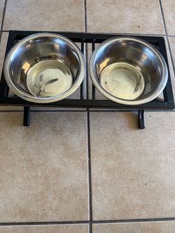 Dog and food container