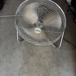 Fan