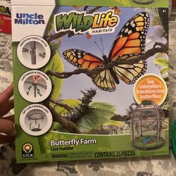 Butterfly 🦋 Farm