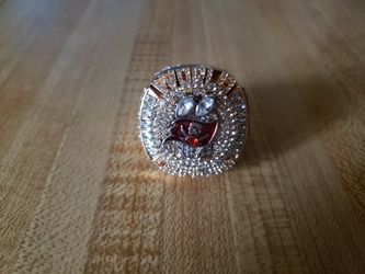 Tampa Bay Bucs Superbowl Ring 