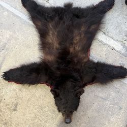 Real bear skin