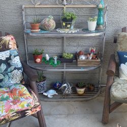 Beautiful Plant Display 