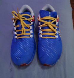 Nike Pegasus
